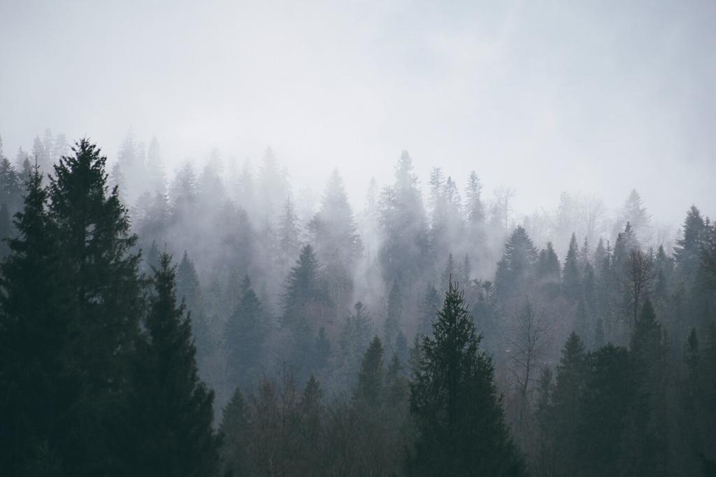 Wildland
